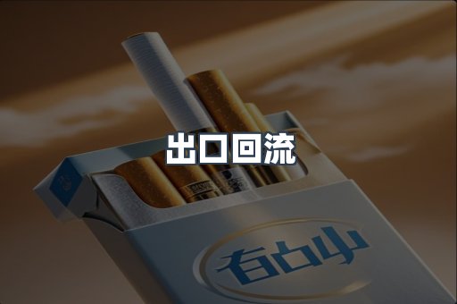 出口回流